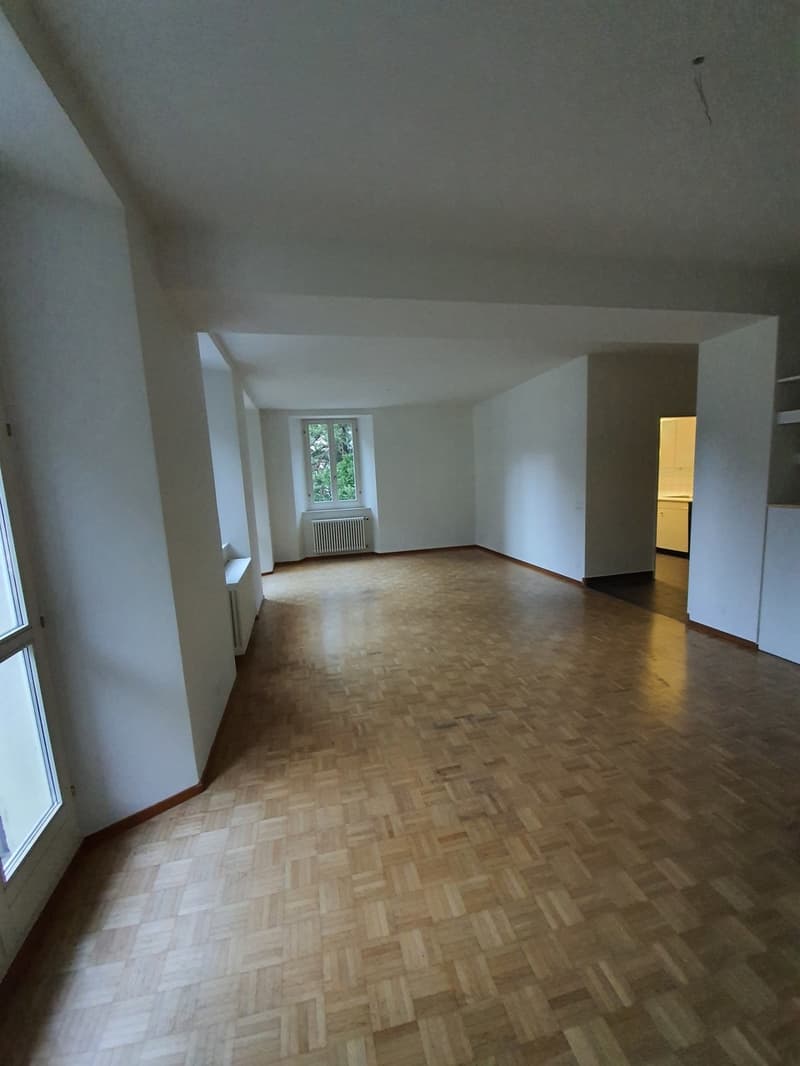 4-room apartment for rent, suitable for families (4)