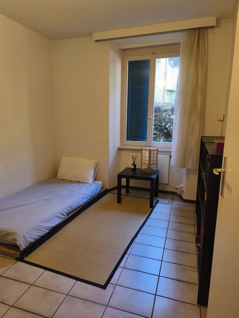 Accogliente appartamento di 2 locali a Locarno (4)