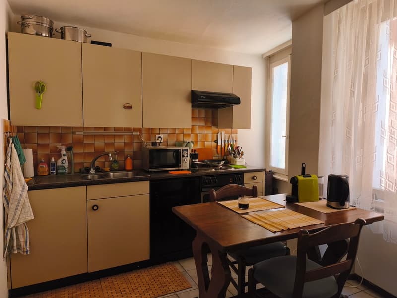 Accogliente appartamento di 2 locali a Locarno (1)