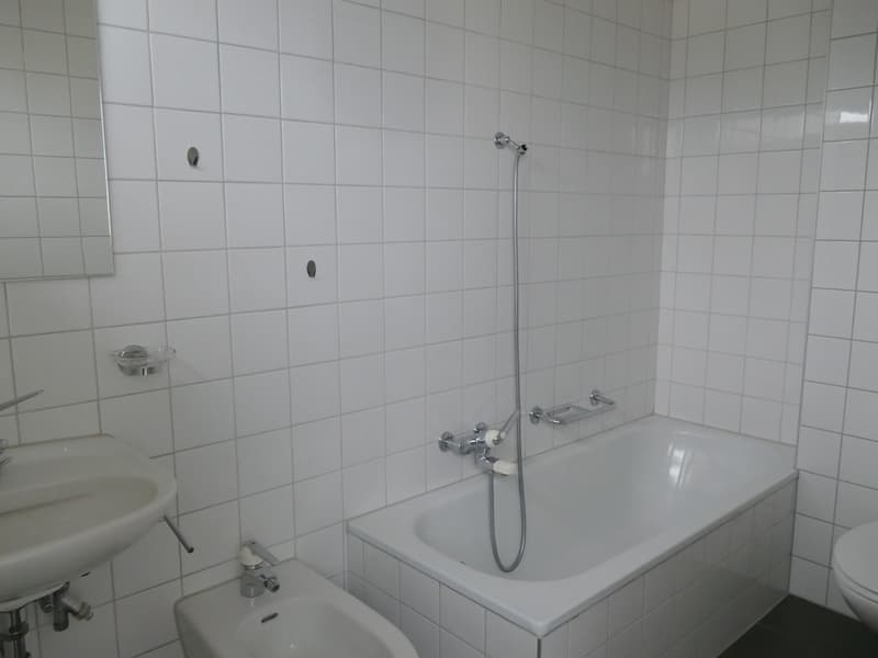 Rent apartment with 2.5 rooms and lake view (4)