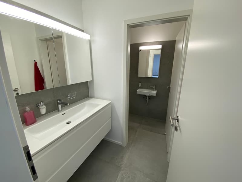 Bureau moderne et spacieux meublé à vendre à Losone (9)