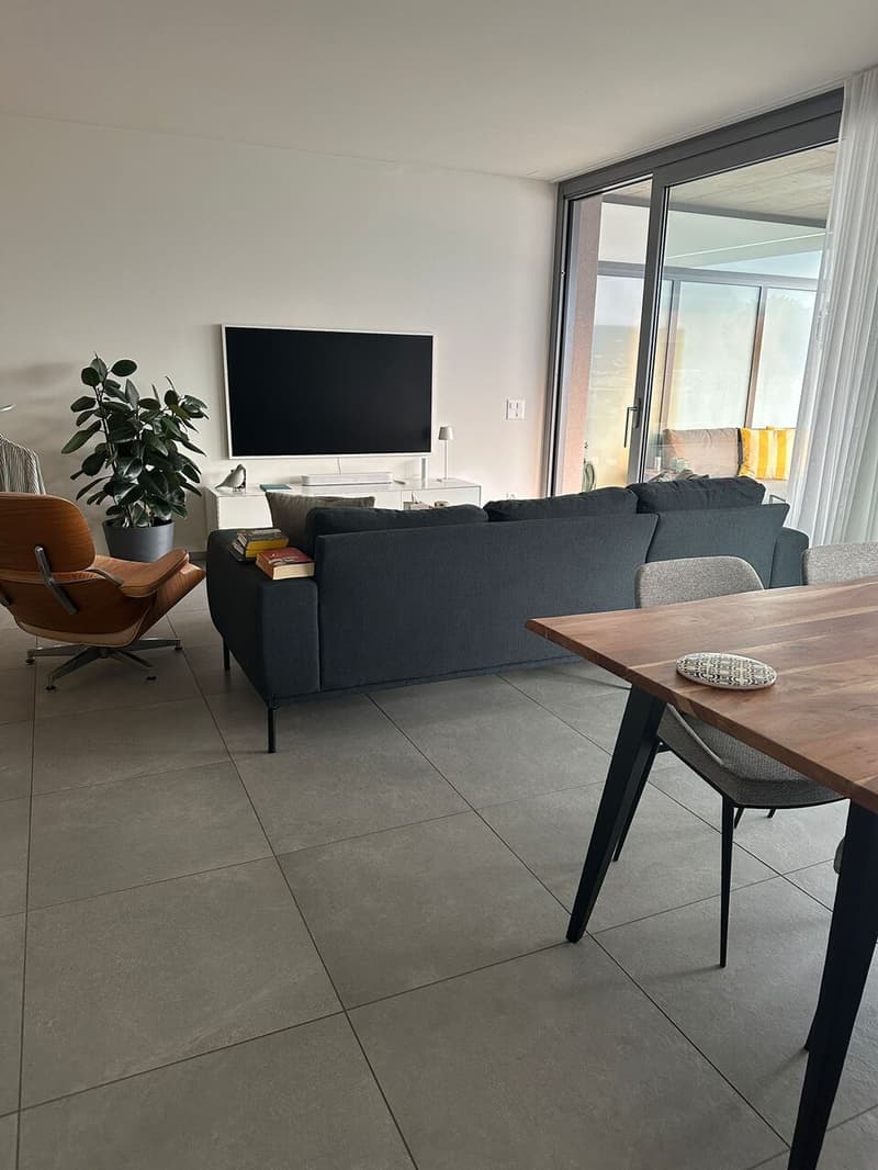 Moderno appartamento di 4.5 locali al 1 piano con terrazza (2)