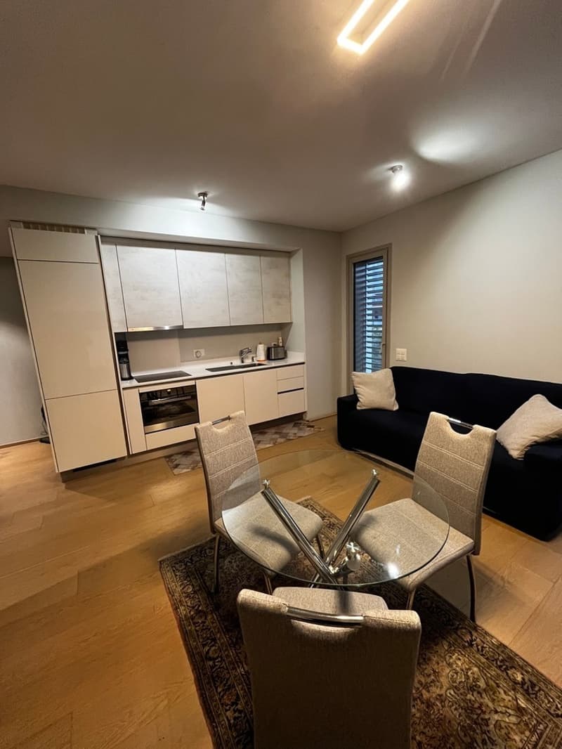 Vendesi appartamento di 2.5 locali a Minusio (5)
