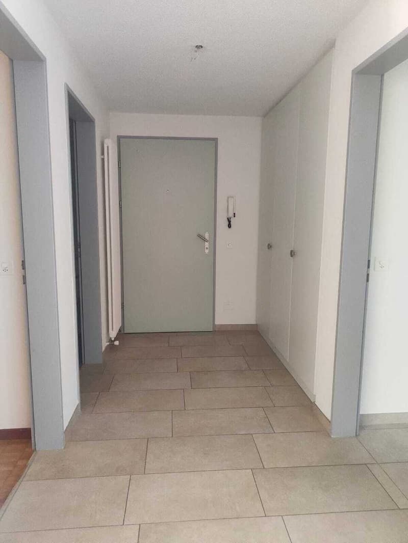 Gesucht: Einziehender für 4.5-Zimmer-Wohnung in Losone (11)