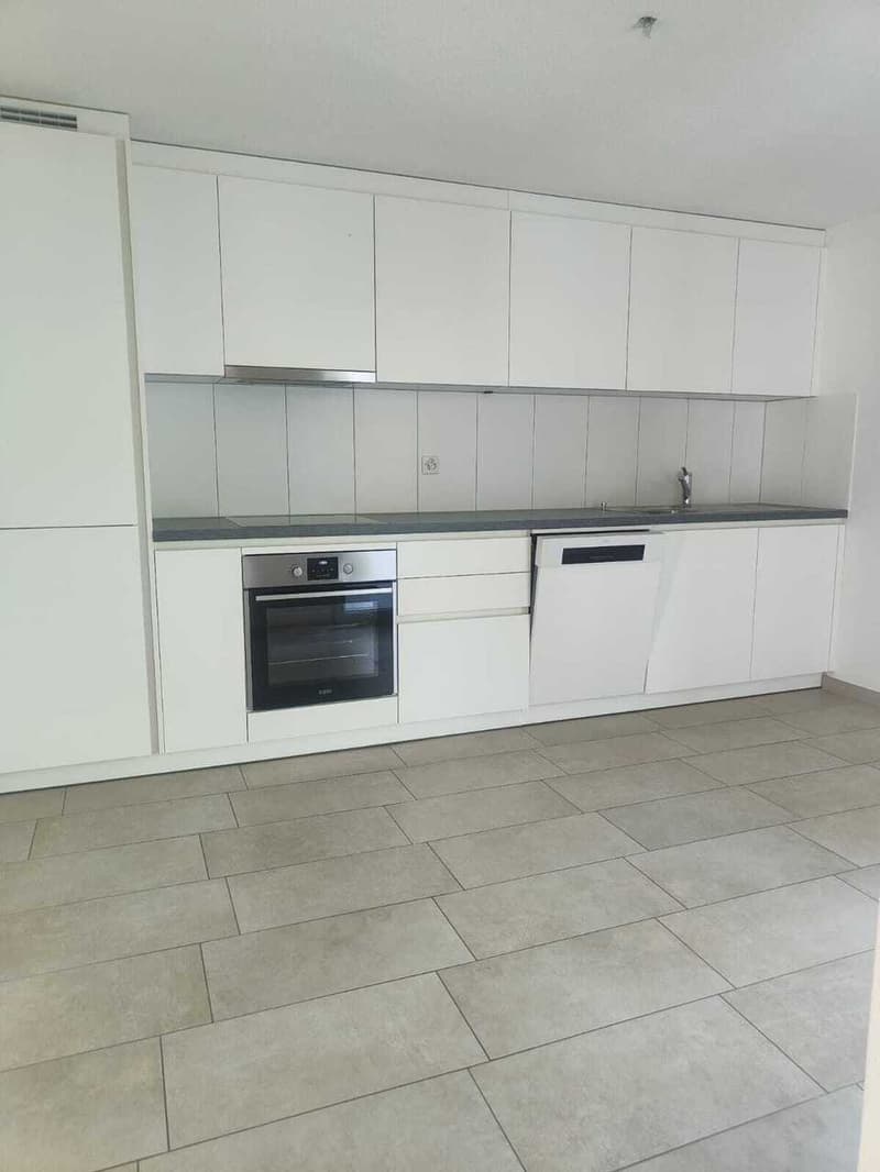 Gesucht: Einziehender für 4.5-Zimmer-Wohnung in Losone (3)