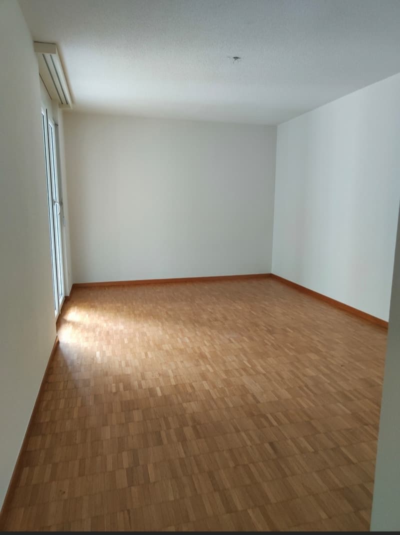 Gesucht: Einziehender für 4.5-Zimmer-Wohnung in Losone (4)