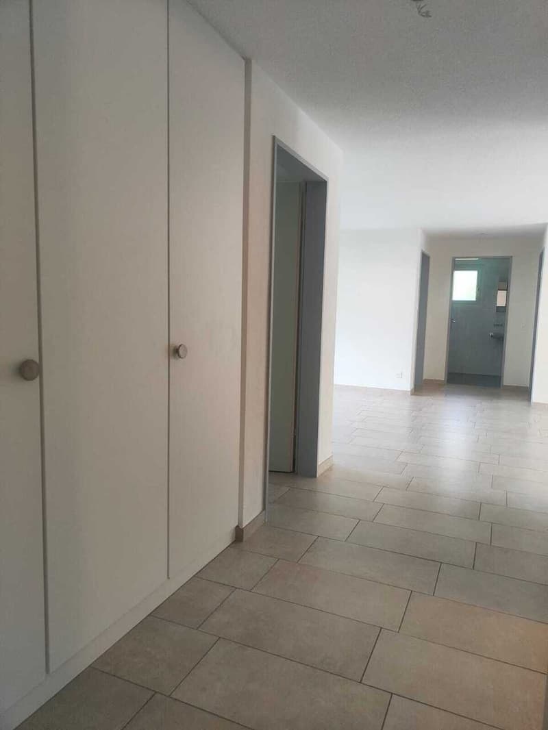 Gesucht: Einziehender für 4.5-Zimmer-Wohnung in Losone (10)