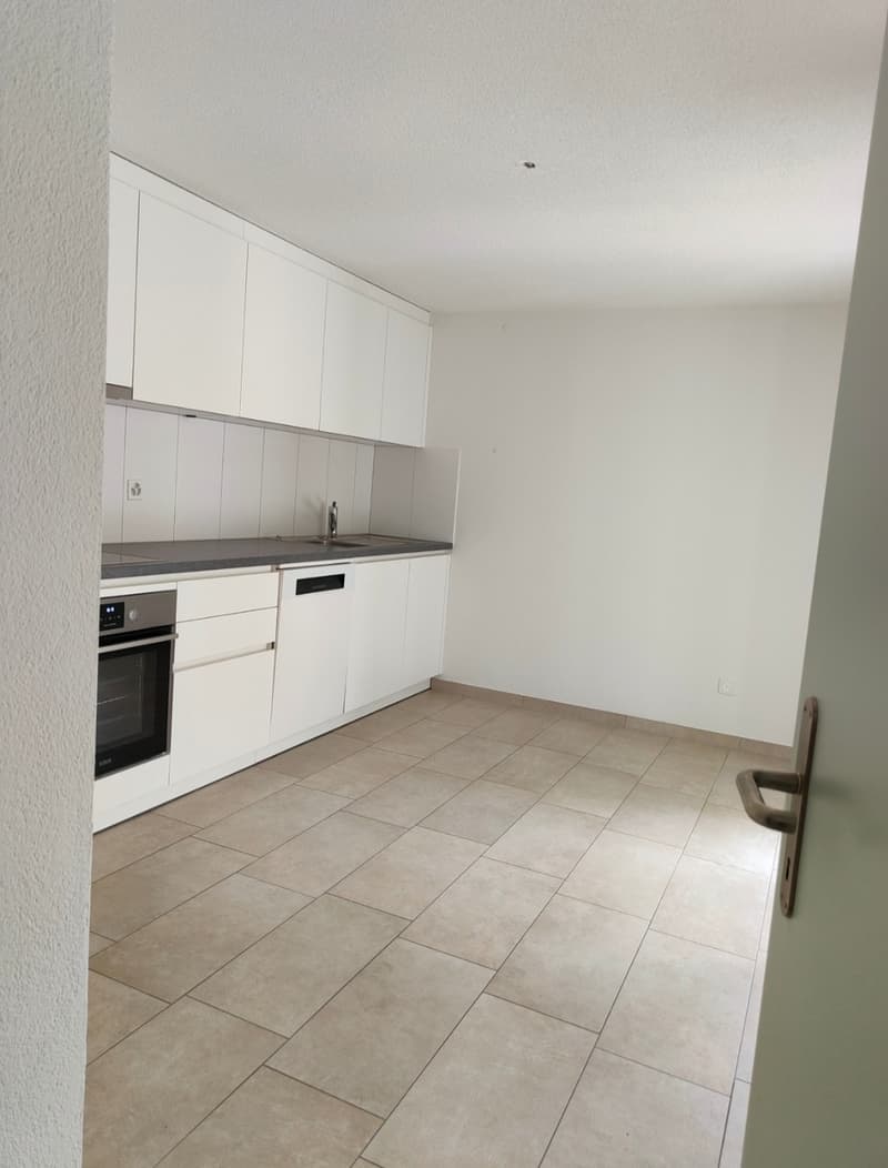 Gesucht: Einziehender für 4.5-Zimmer-Wohnung in Losone (2)
