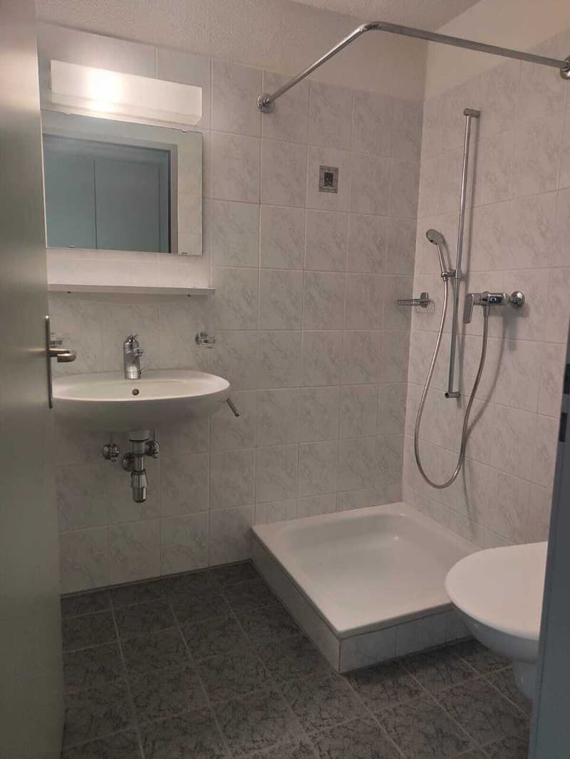 Gesucht: Einziehender für 4.5-Zimmer-Wohnung in Losone (8)