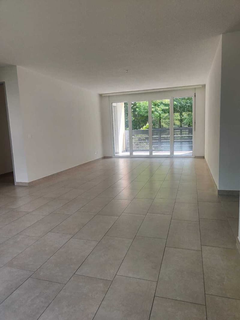 Gesucht: Einziehender für 4.5-Zimmer-Wohnung in Losone (9)