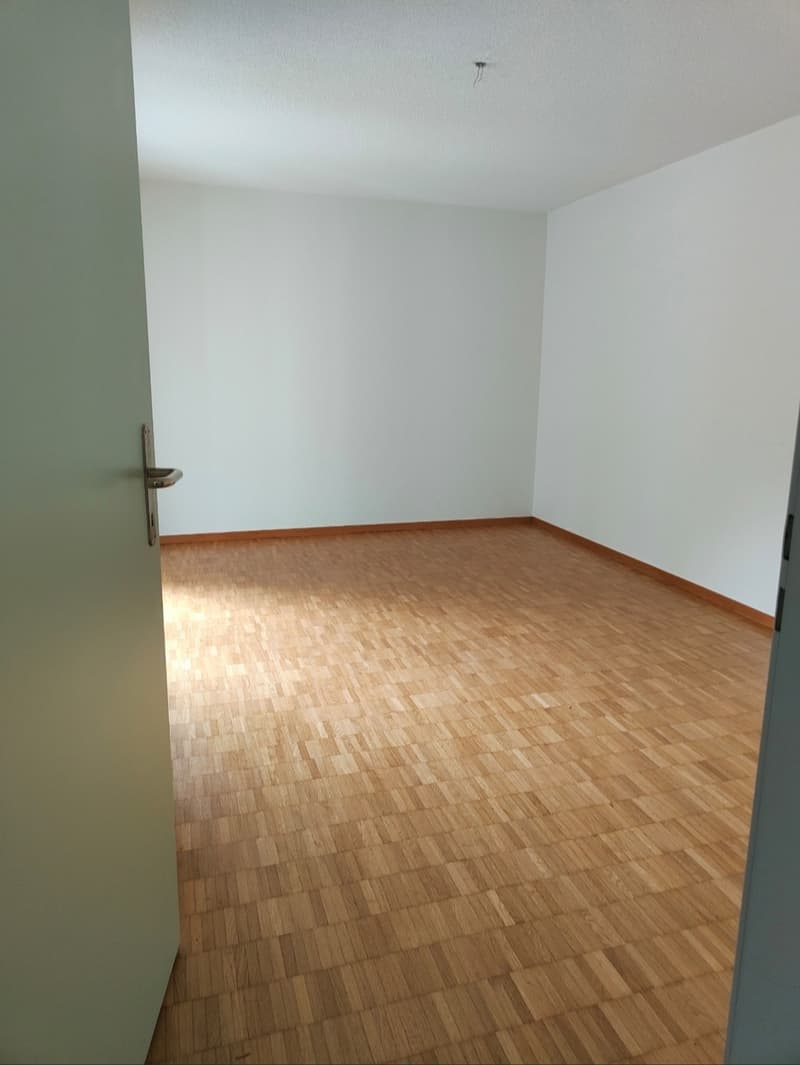 Gesucht: Einziehender für 4.5-Zimmer-Wohnung in Losone (5)