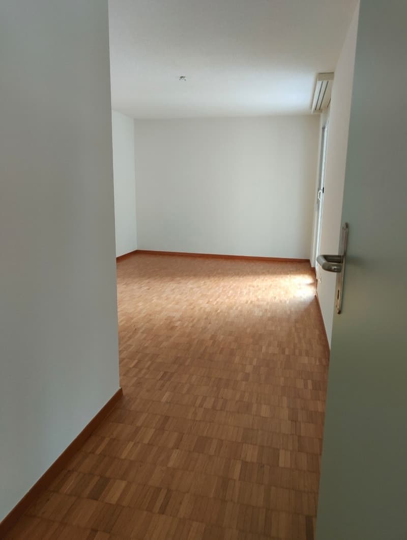 Gesucht: Einziehender für 4.5-Zimmer-Wohnung in Losone (6)