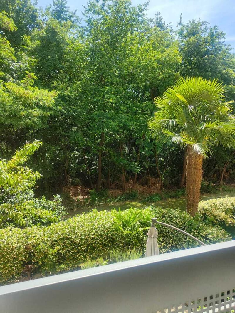 Gesucht: Einziehender für 4.5-Zimmer-Wohnung in Losone (13)