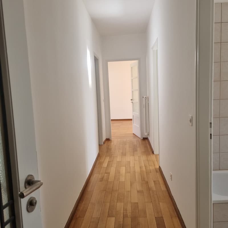 Affittasi luminoso appartamento di 3.5 locali (9)