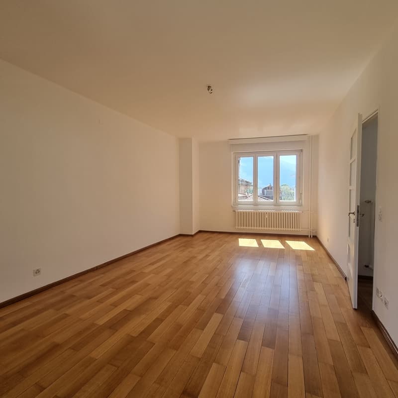 Affittasi luminoso appartamento di 3.5 locali (6)