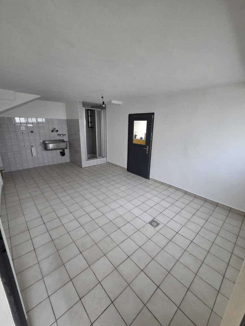 Rent independent house of 3.5 rooms in Monte Carasso (5)