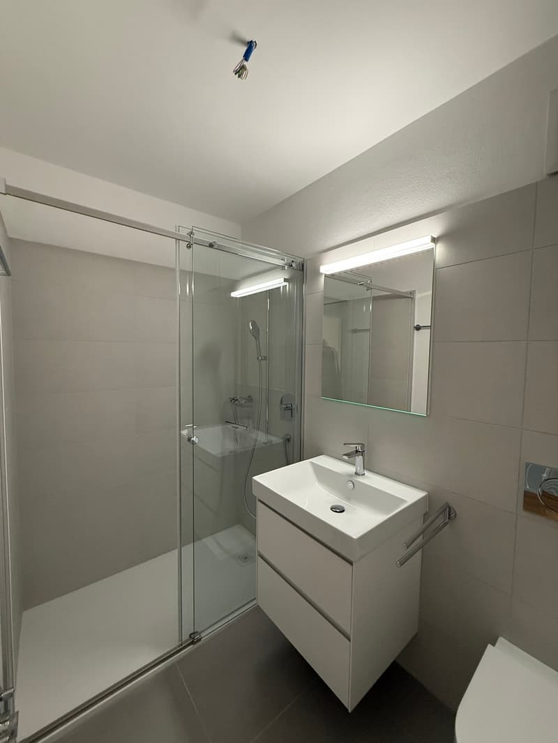 Mietwohnung 4.5 Zimmer mit Dachboden in Locarno Zentrum (4)
