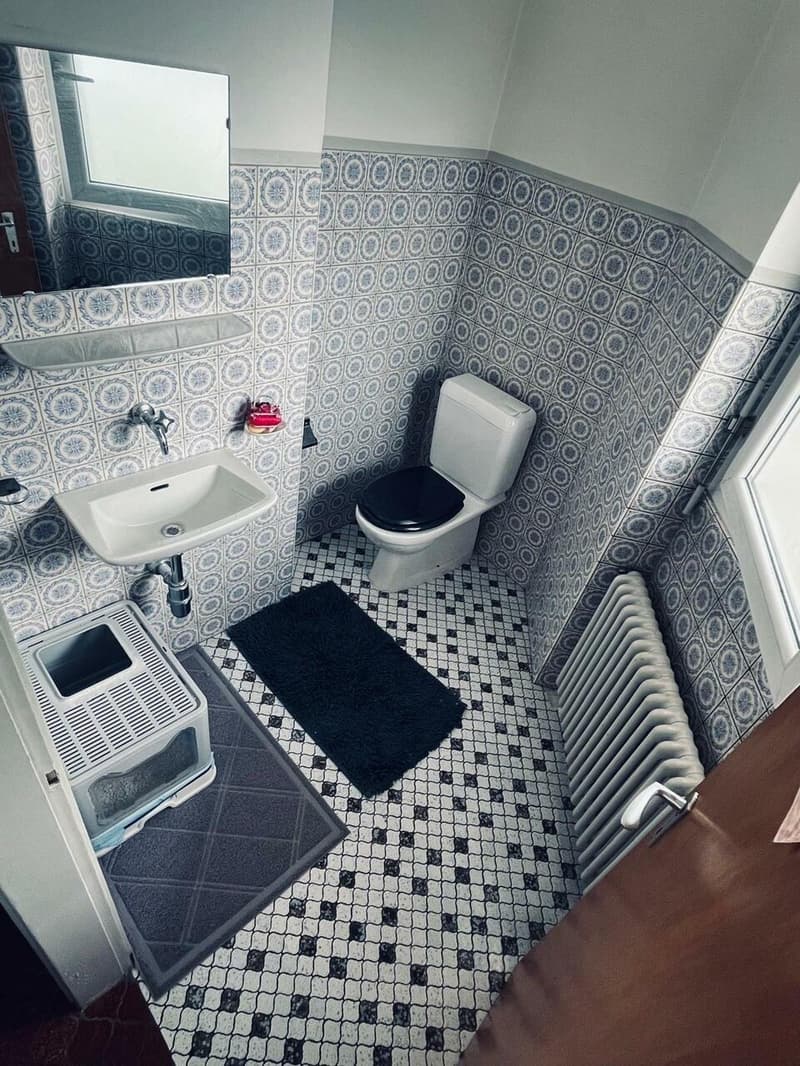 5.5-room apartment for sale on the first floor in a semi-detached house (7)