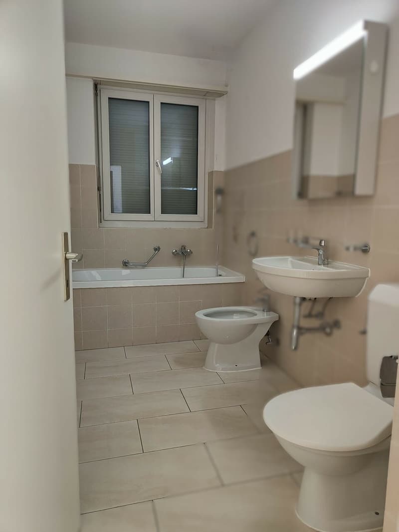 3.5-room apartment for sale in the city center (8)