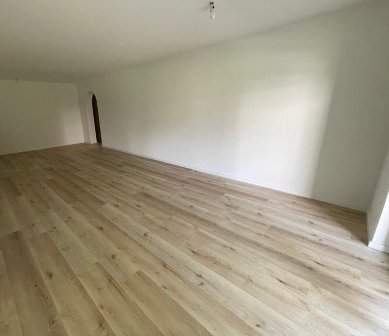 Rent apartment with 4.5 rooms in quiet area of Ascona (6)