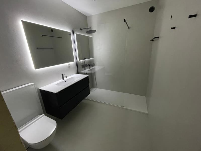 Rent apartment with 4.5 rooms in quiet area of Ascona (9)