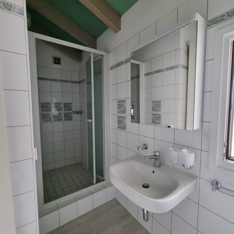 Renting a 2.5-room duplex apartment in Ascona (6)