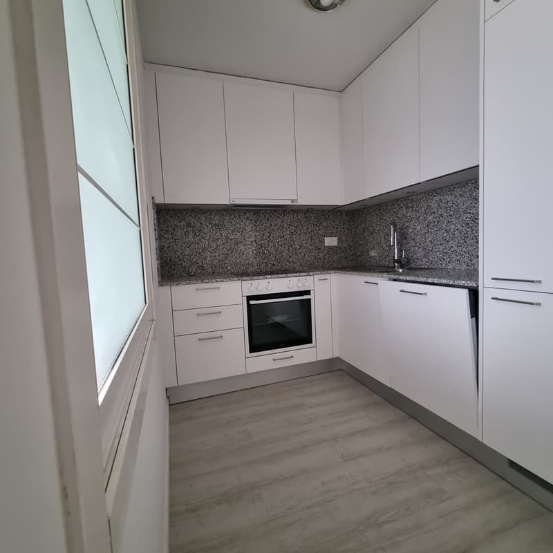 Renting a 2.5-room duplex apartment in Ascona (2)