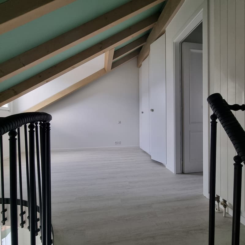 Renting a 2.5-room duplex apartment in Ascona (5)