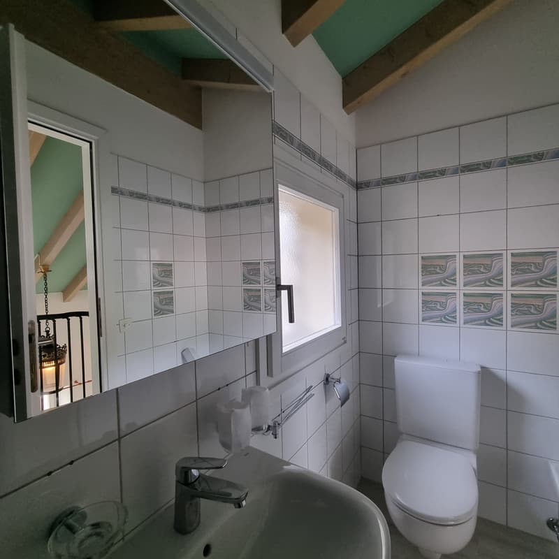 Renting a 2.5-room duplex apartment in Ascona (7)