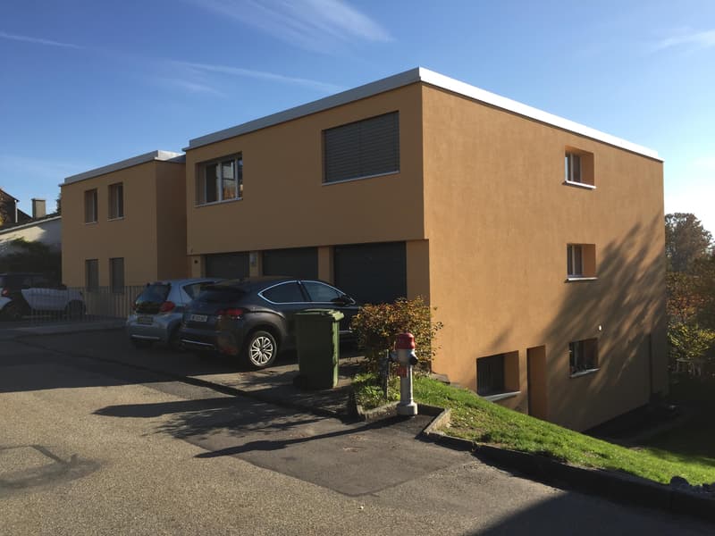 Appartement 3 pièces avec vue sur les Alpes (1)