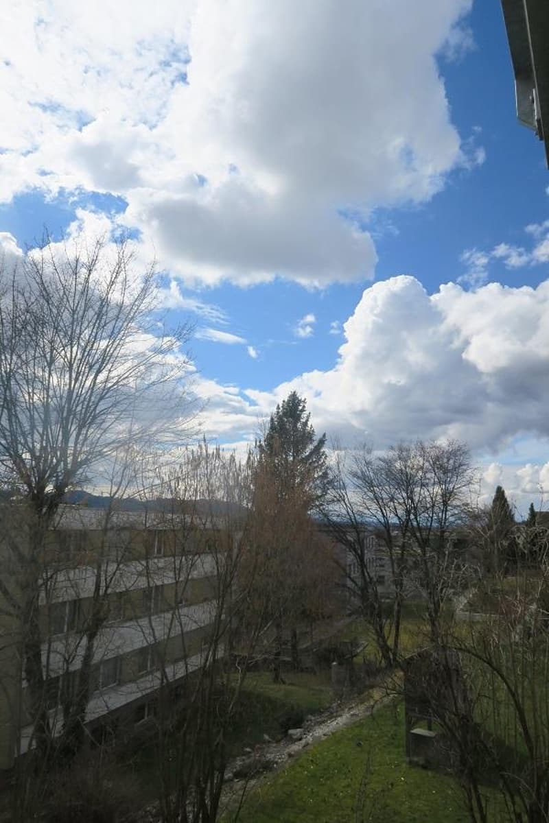 Appartement 3 pièces avec vue sur les Alpes (9)