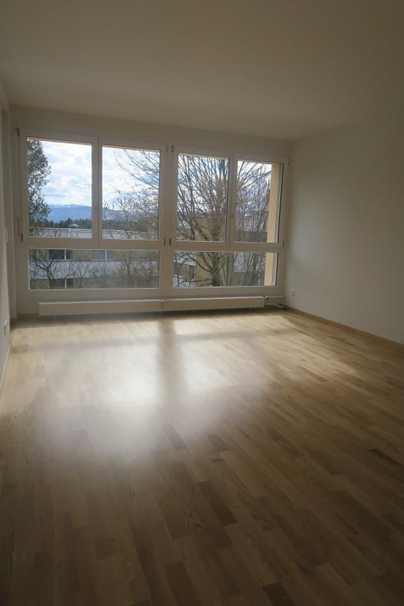 Appartement 3 pièces avec vue sur les Alpes (7)