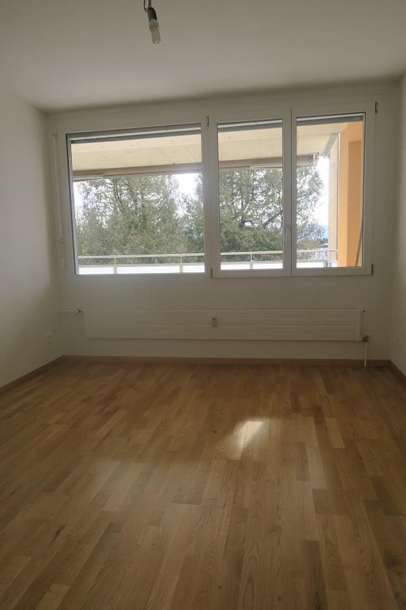 Appartement 3 pièces avec vue sur les Alpes (6)