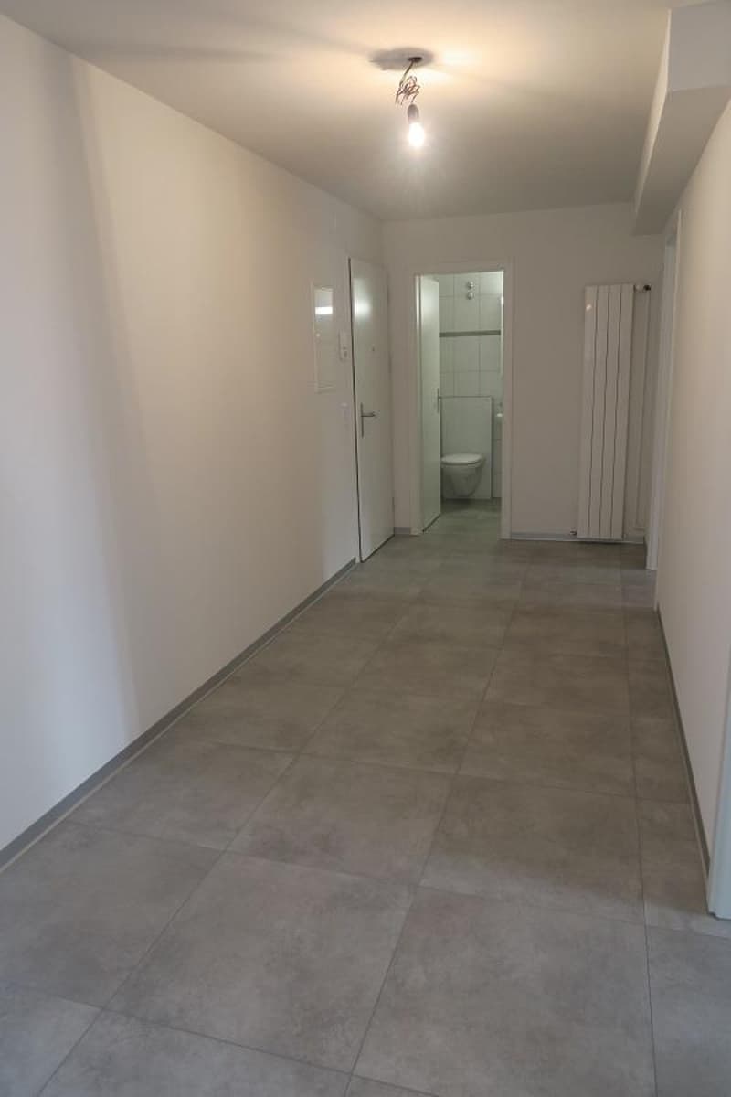 Appartement 3 pièces avec vue sur les Alpes (4)
