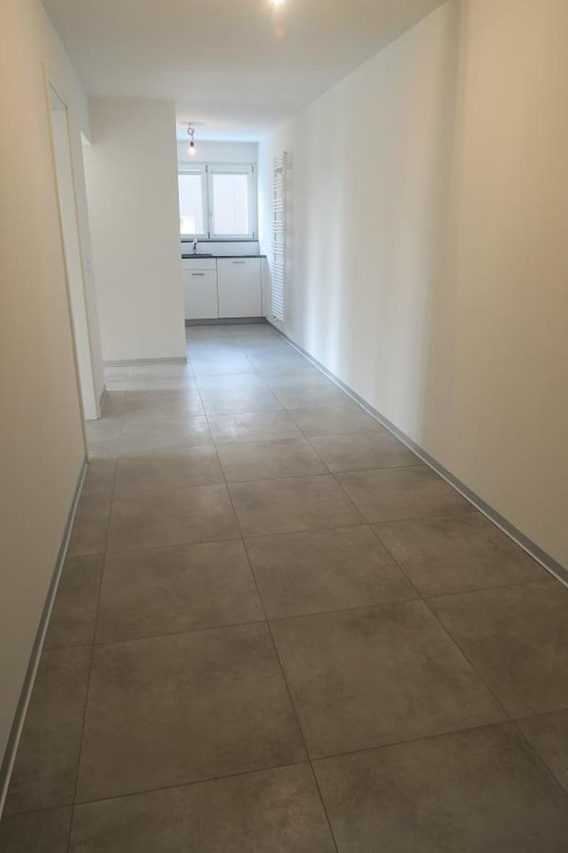 Appartement 3 pièces avec vue sur les Alpes (3)