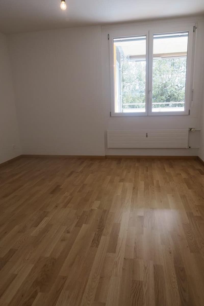 Appartement 3 pièces avec vue sur les Alpes (5)