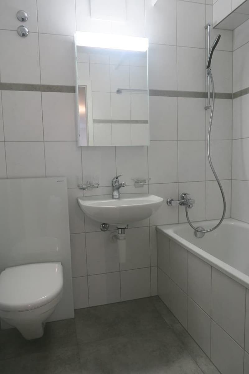 Appartement 3 pièces avec vue sur les Alpes (8)