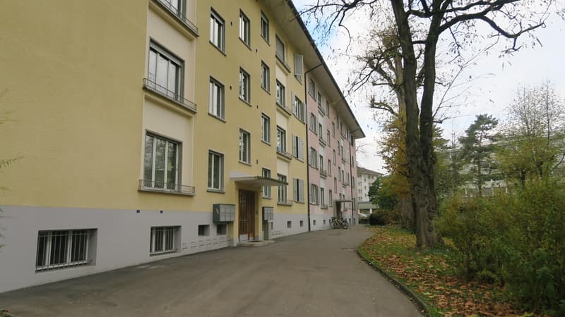 Il tuo appartamento monostanza ristrutturato a Wankdorf (1)
