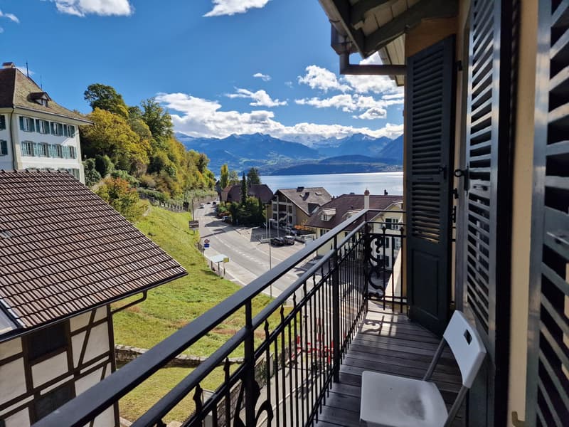 Appartamento 1.5 locali con vista sulla montagna (1)