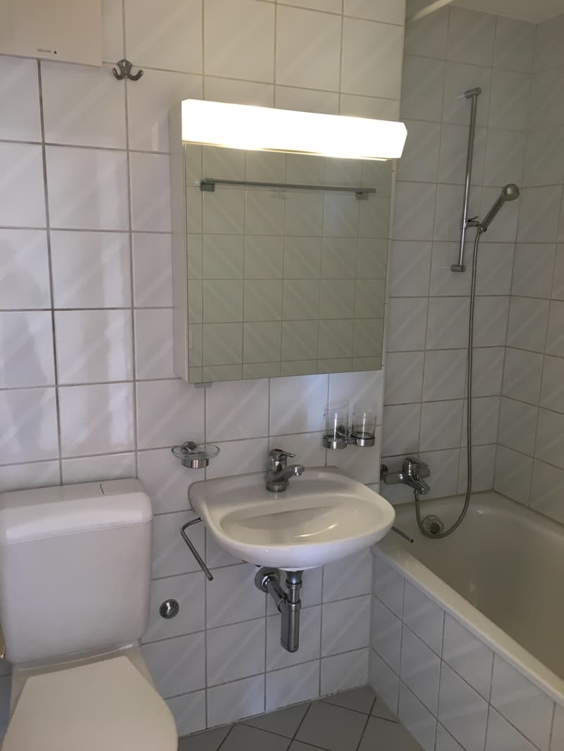 Ihre neue 2-Zimmerwohnung in der Matte? (5)