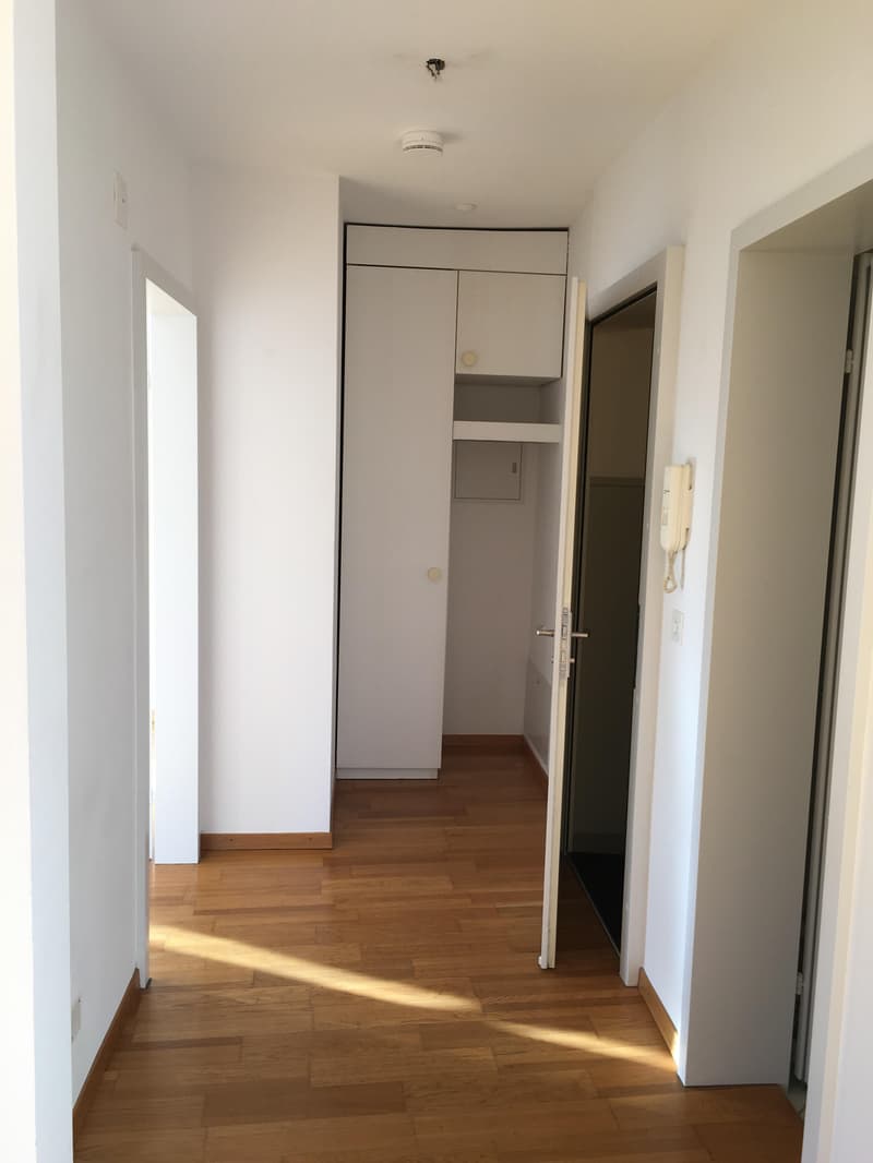 Ihre neue 2-Zimmerwohnung in der Matte? (3)