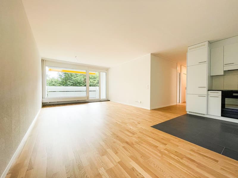 neu sanierte 3.5 Zimmerwohnung im Wittigkofenquartier (2)