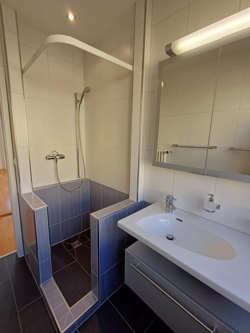 Moderne und helle 2.5 Zimmerwohnung an zentraler Lage! (2)