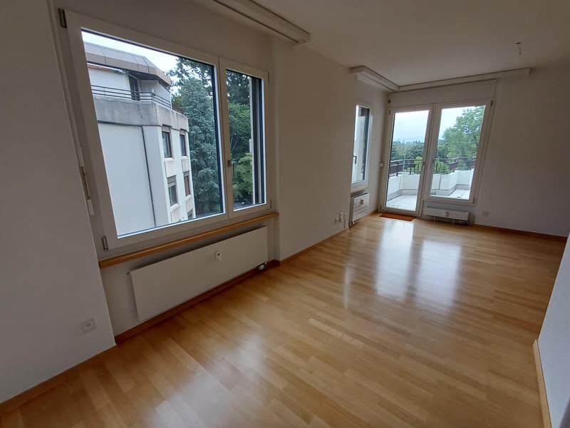 Attikawohnung mit Weitblick im Brunnadern-Quartier (4)