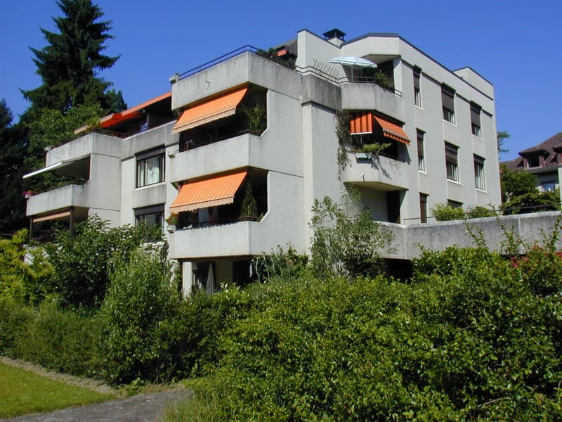 Attikawohnung mit Weitblick im Brunnadern-Quartier (1)