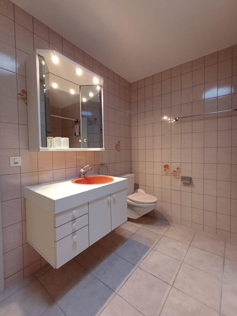 Attikawohnung mit Weitblick im Brunnadern-Quartier (8)