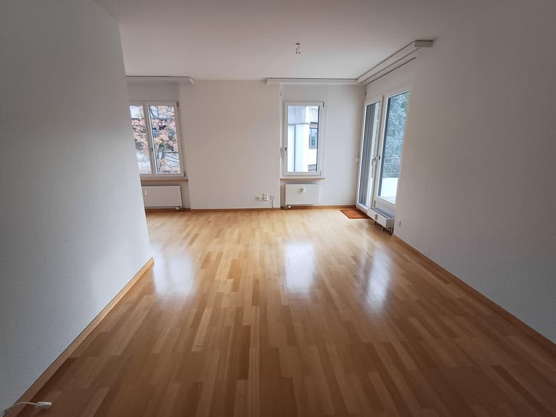 Attikawohnung mit Weitblick im Brunnadern-Quartier (2)