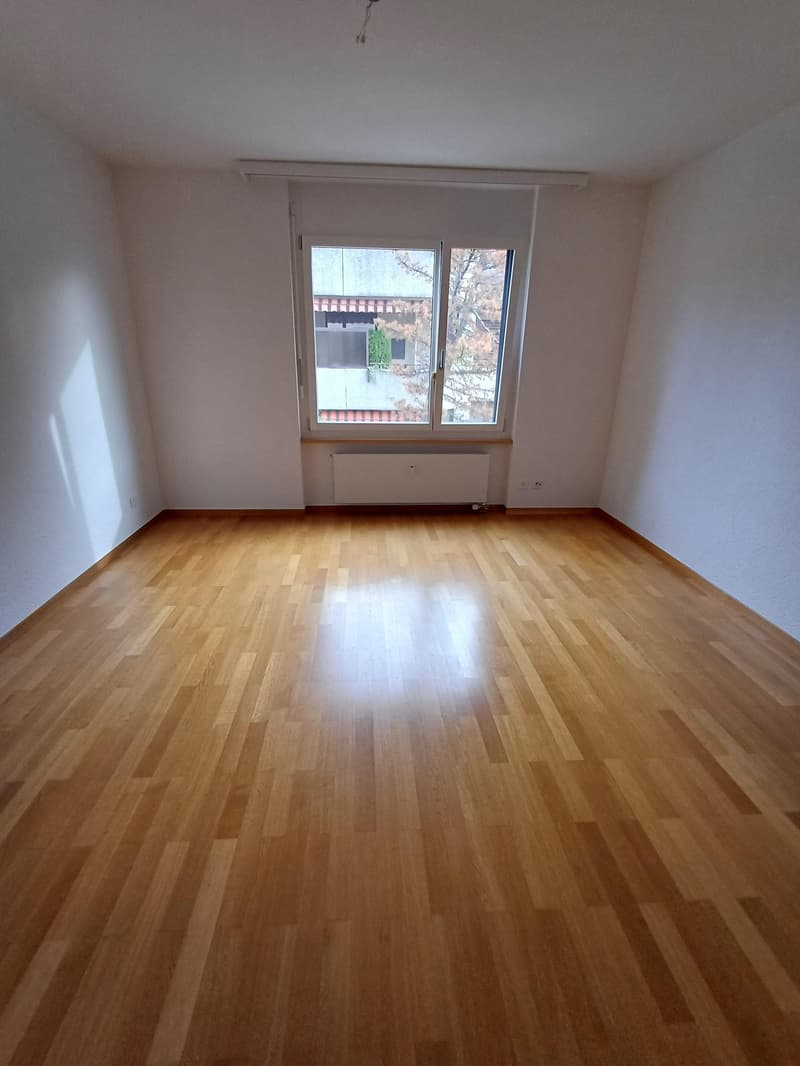 Attikawohnung mit Weitblick im Brunnadern-Quartier (5)