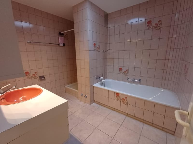 Attikawohnung mit Weitblick im Brunnadern-Quartier (9)