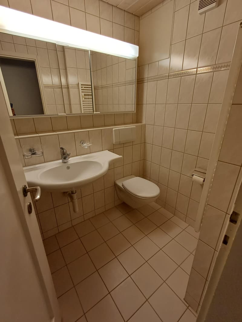 3-Zimmerwohnung im Weissenbühlquartier zu vermieten (7)
